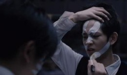 国产gv,探索东方美学与视觉盛宴的完美融合