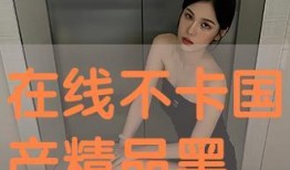 国产精品自拍在线观看